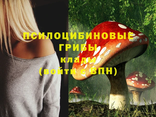 марки lsd Лабытнанги