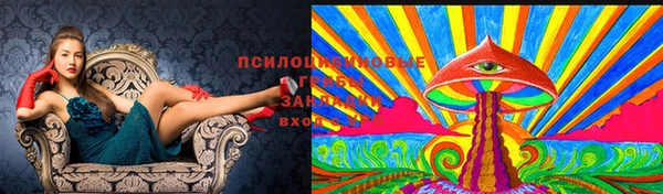 гашик Абаза