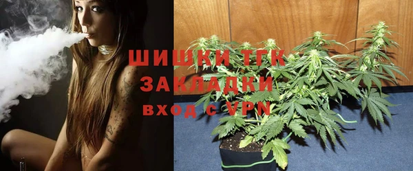 гашик Абаза