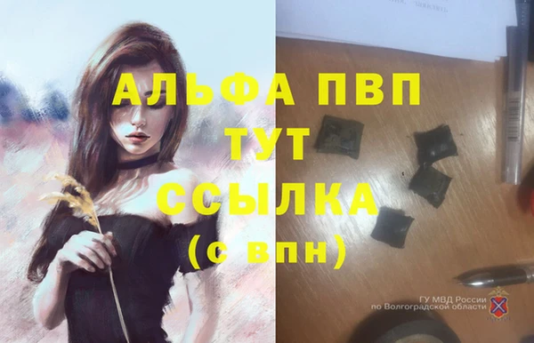 меф Архангельск