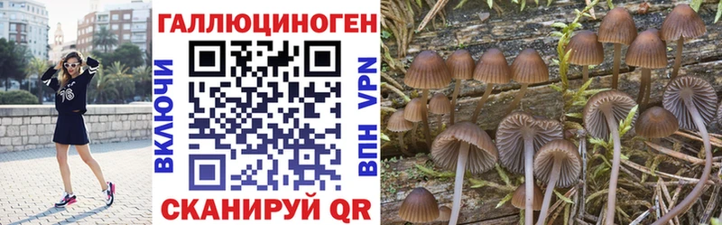 Галлюциногенные грибы MAGIC MUSHROOMS  Черногорск 